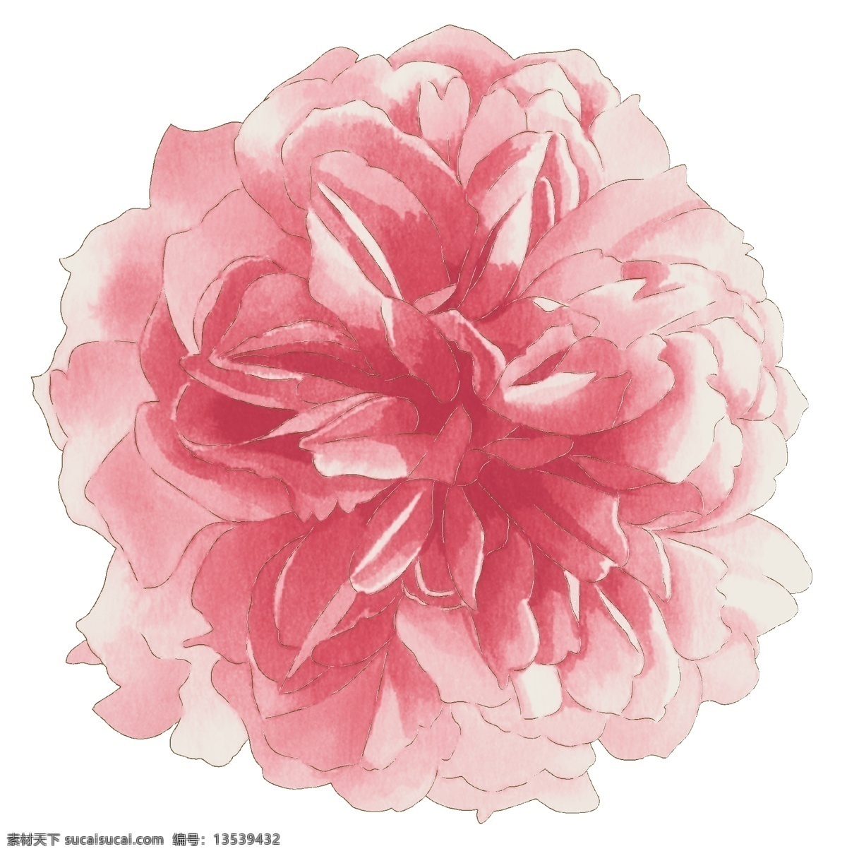 印花 矢量图 服装图案 花 色彩 印花矢量图 优雅植物 面料图库 服装设计 图案花型