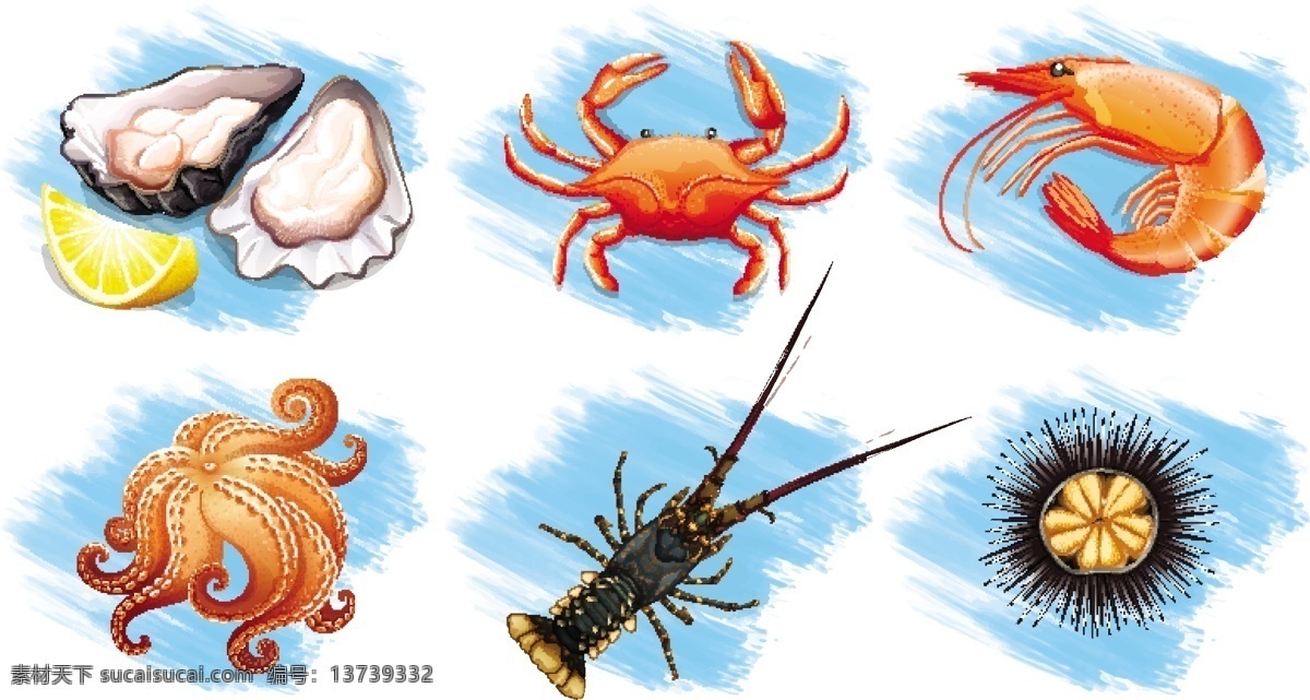 美味的海鲜 螃蟹 大虾 海鲜 章鱼