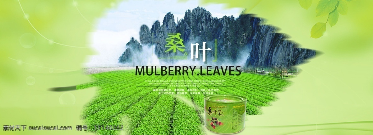 桑叶 茶 全 屏 1920 海报 1920海报 茶叶 绿色海报 全屏海报 淘宝首页海报 桑叶茶 原创设计 原创淘宝设计
