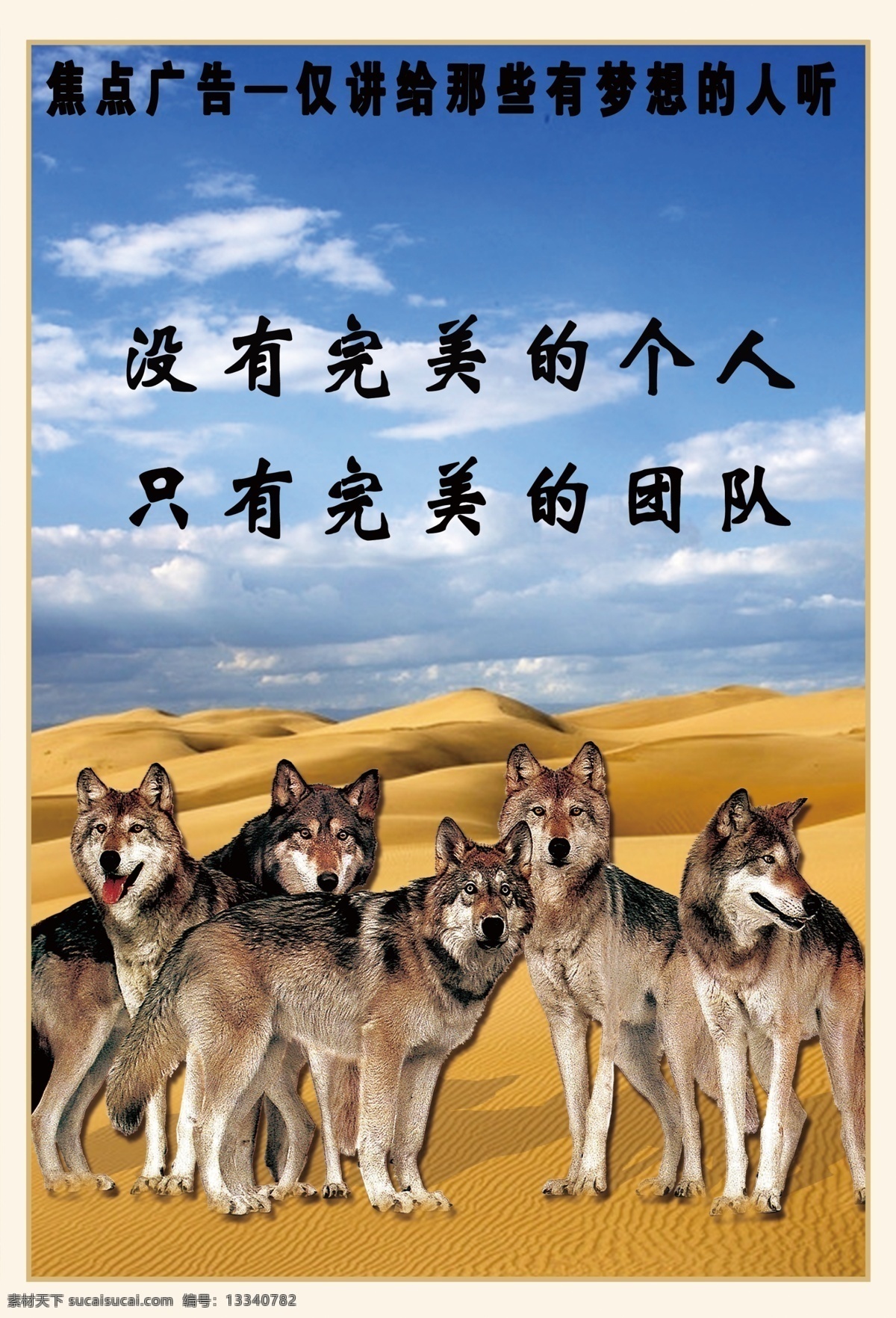 狼 狼文化 狼族 狼群 狼性 黑色