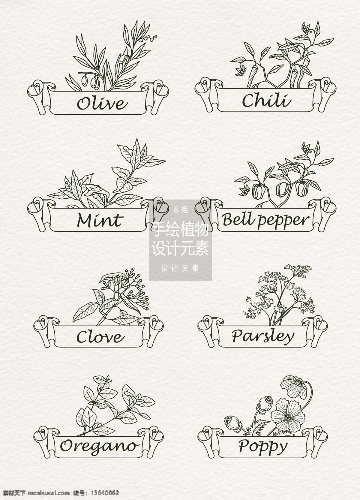 手绘 草本植物 图标 元素 图标设计 植物图标 草药 丝带 手绘草本植物