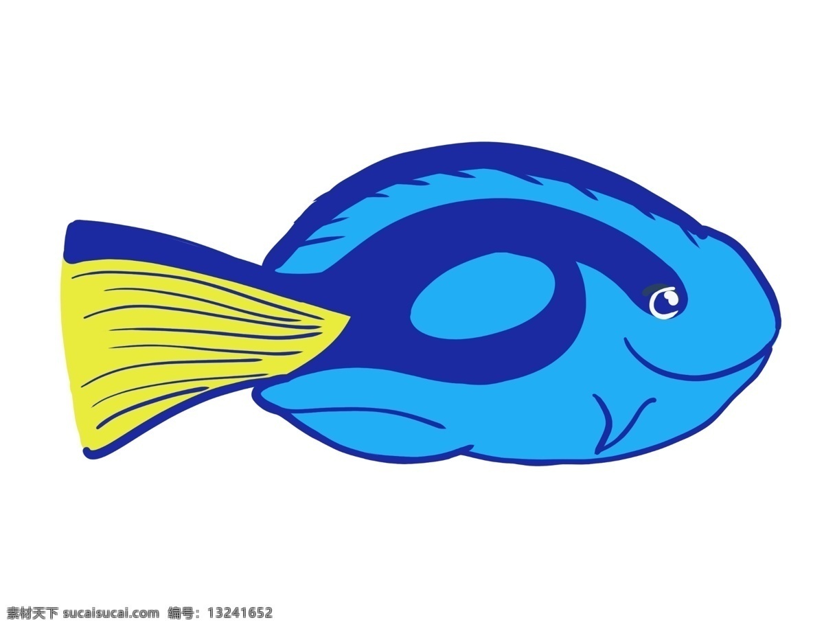 蓝色鱼类生物 海底 海洋 生物