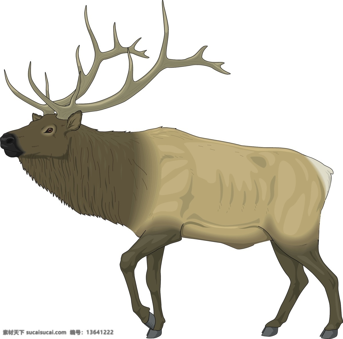 麋鹿矢量素材 麋鹿 驼鹿 大 身体 动物 哺乳动物 鹿角 雄鹿 生物世界 野生动物