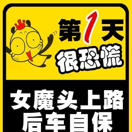 个性车贴 个性 车贴 幽默车贴 搞笑车贴 女魔头 恐慌 源文件
