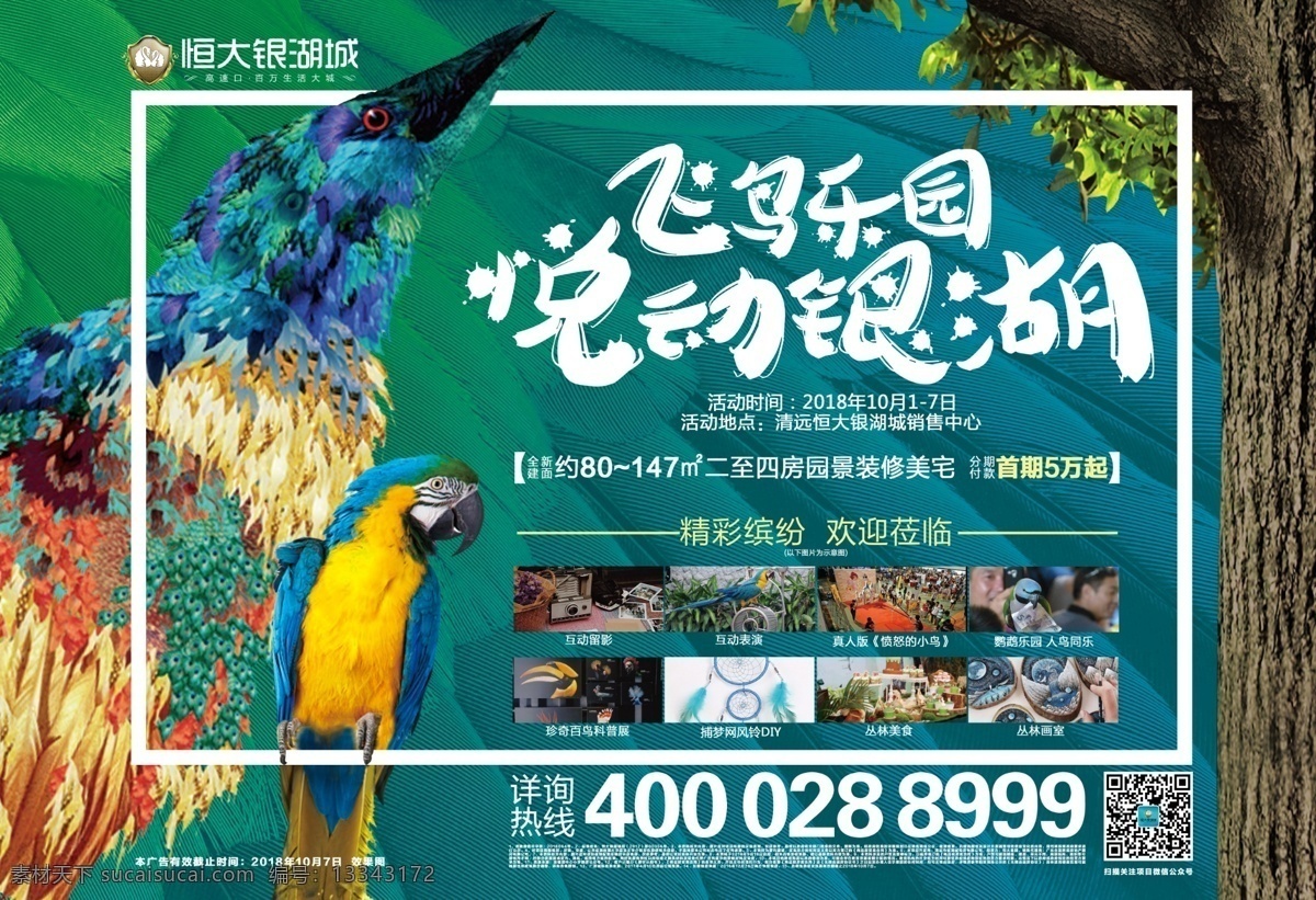 地产 飞禽 鹦鹉 展览 活动 单张 活动广告 宣传单 羽毛 炫彩 炫酷 恒大