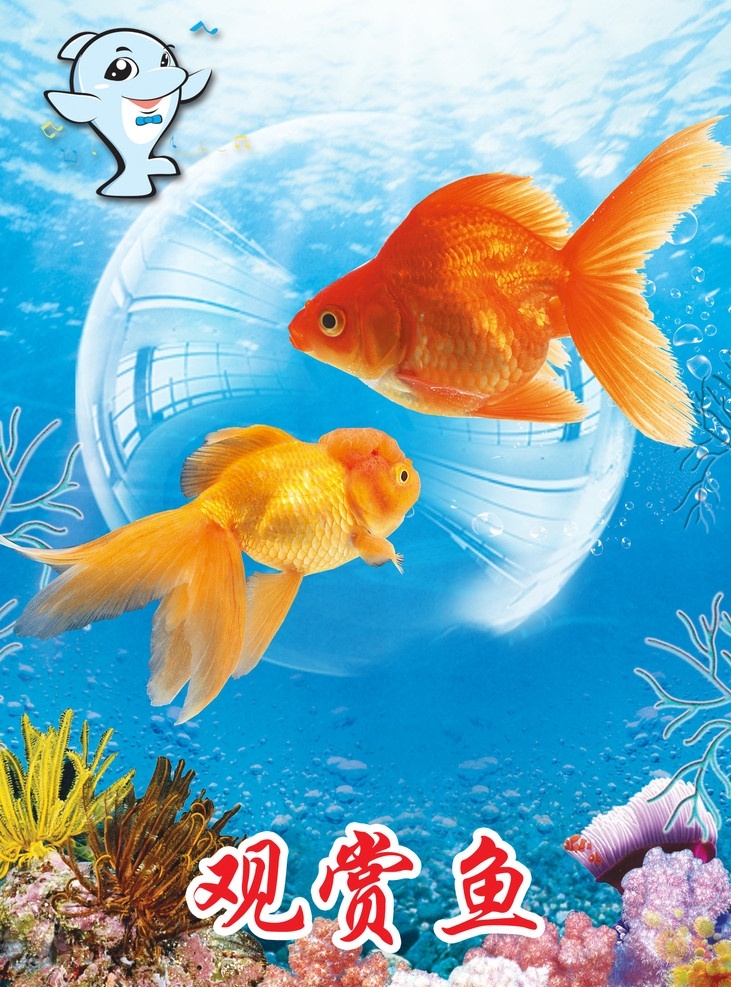 观赏鱼 鱼 鱼儿 海洋 分层 源文件