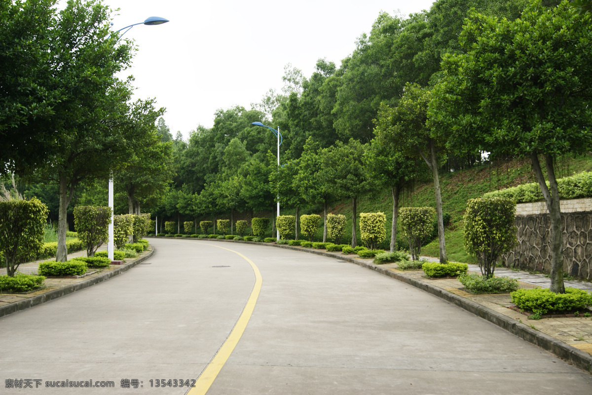 路慢慢 长青路 道路 绿树 树木 园林建筑 建筑园林
