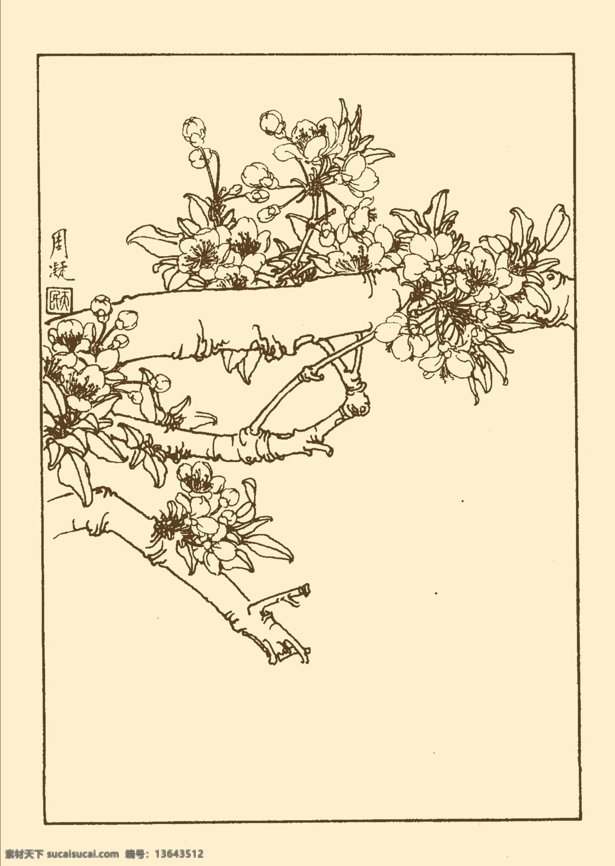 李子 白描 花卉 花草 植物 国画 中国画 线画 线稿 花卉白描 分层 源文件