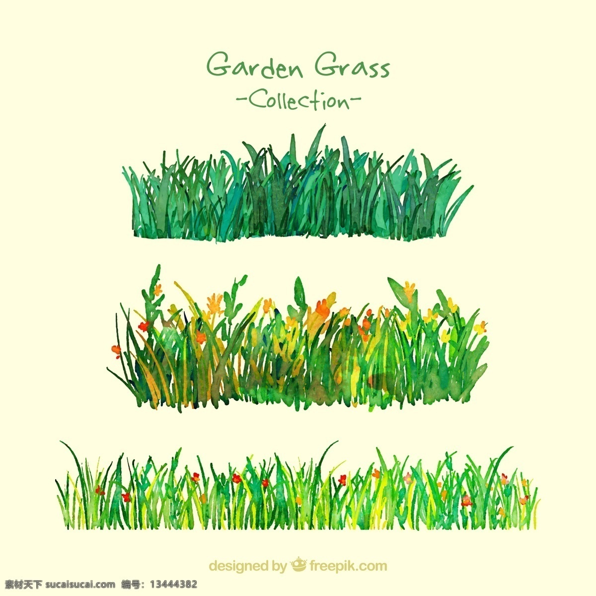 水彩草和鲜花 花 水彩 鲜花 手 自然 绿色 草 蔬菜 园林 植物 花卉 园艺 包 成长 画 彩绘 提高