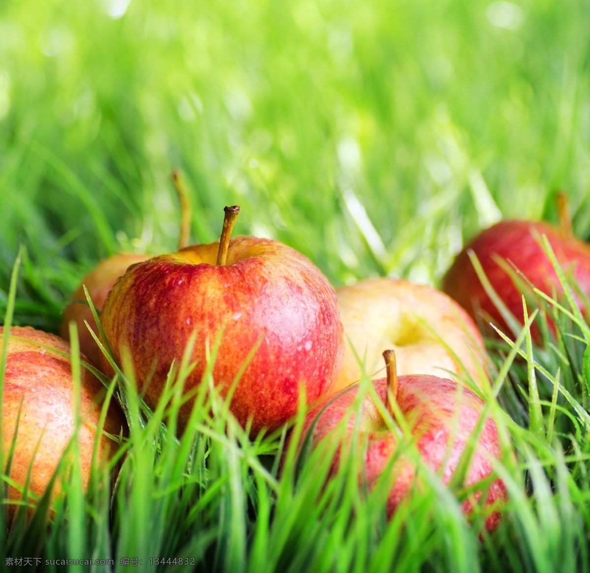 草地 上 苹果 绿地 新鲜苹果 新鲜水果 苹果摄影 苹果图片 餐饮美食