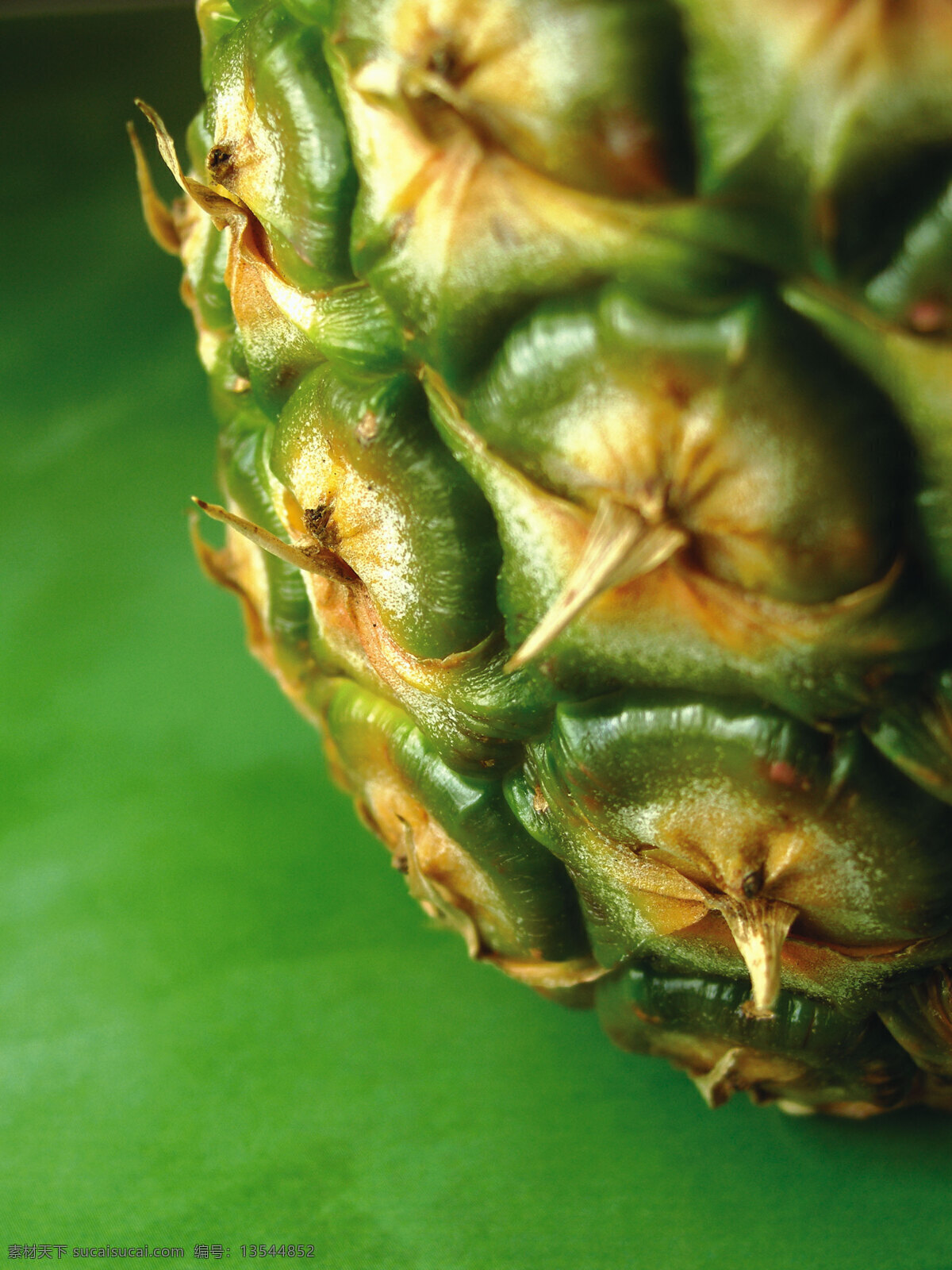 菠萝 水果 生物世界