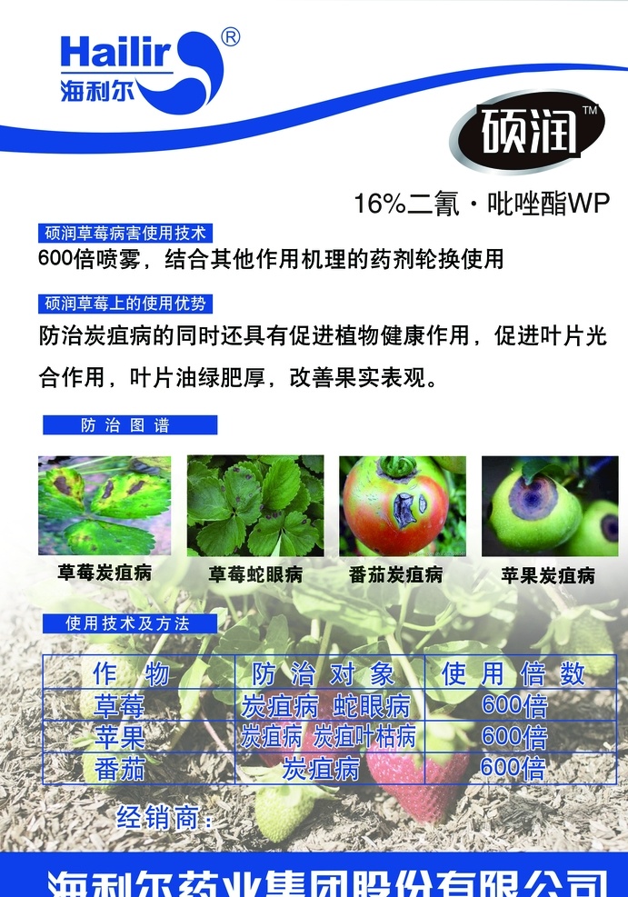 农药单页 单页 海报 番茄炭疽病 苹果炭疽病 草莓蛇眼病 草莓炭疽病 海利尔 草莓 分层