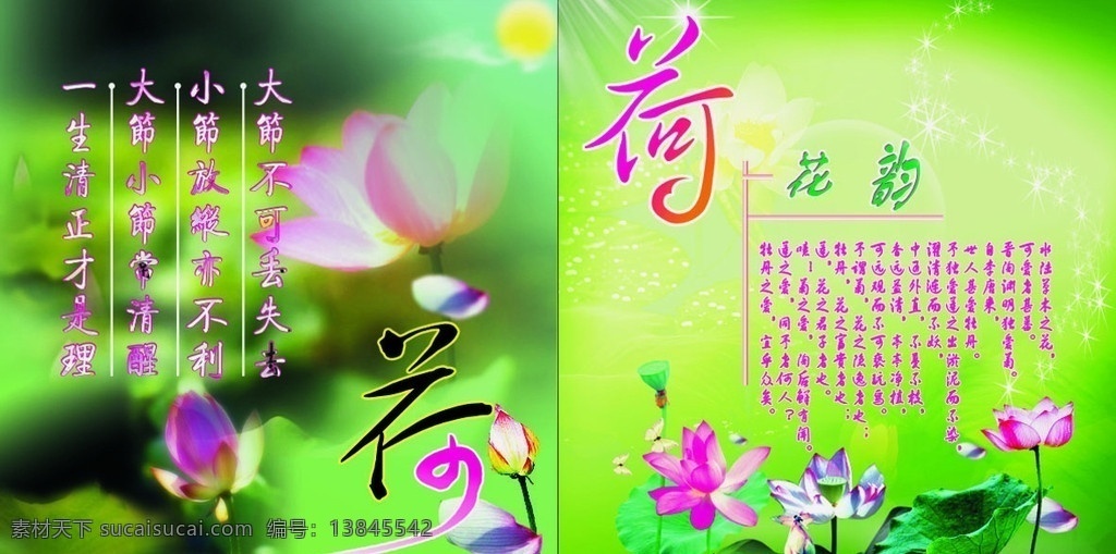 墙壁画 荷花 清净 淡雅 出淤泥不染 花韵 矢量