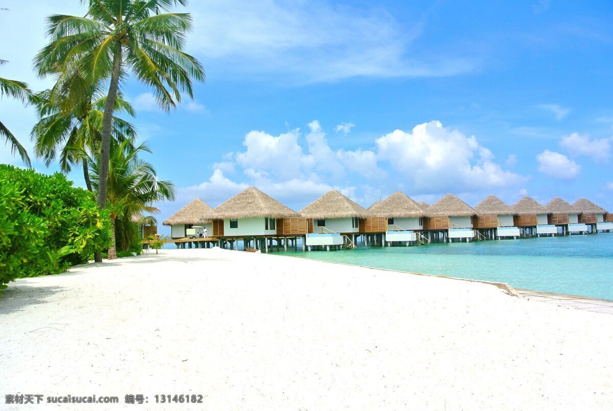 沙滩 海滩 椰树 休闲 风景 自然景观 自然风景