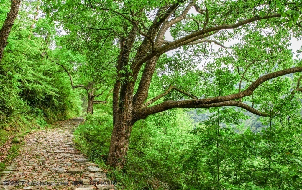 南黄古道 水库 天台 文旅 南屏 古道 自然景观 自然风景