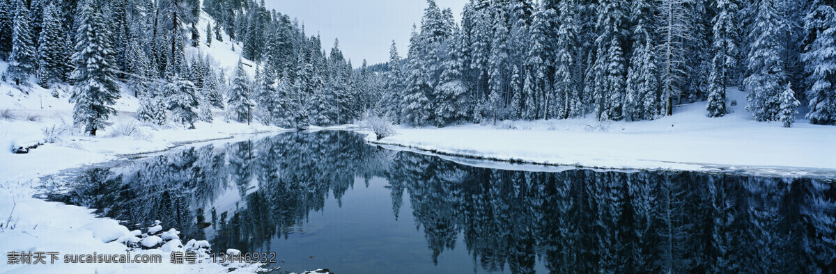 白雪 覆盖 河流 树林 白雪覆盖 雪景 倒影 美景 山水风景 风景图片