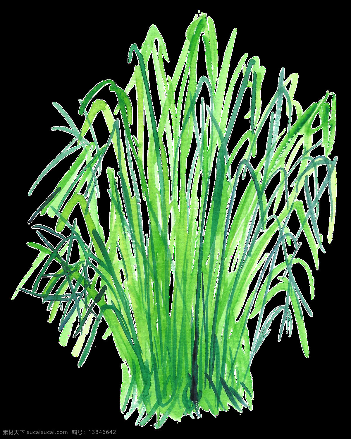 吊坠 海草 透明 装饰 绿色 免扣素材 透明素材 枝叶 装饰图案