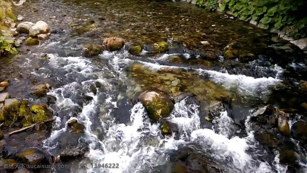 户外 小河 里 急速 流淌 河水 实拍 急速流淌 清澈 动态