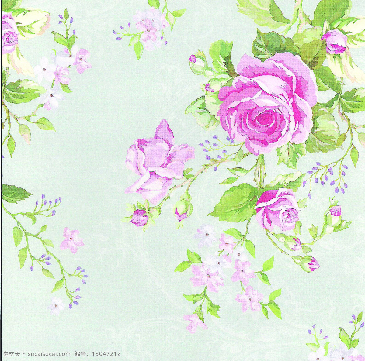 漂亮 玫瑰花 花背景 花朵 花纹 粉红玫瑰花 背景图片
