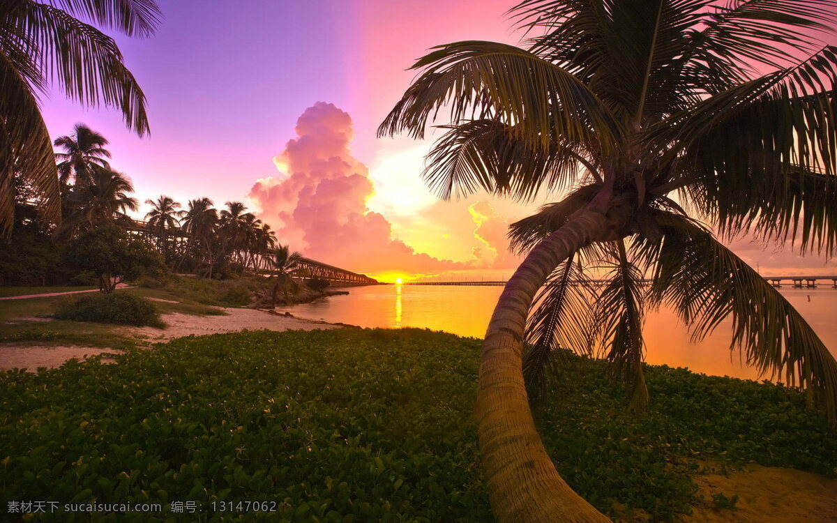 高清 黄昏 海边 椰子树 风景 夕阳 唯美 云彩