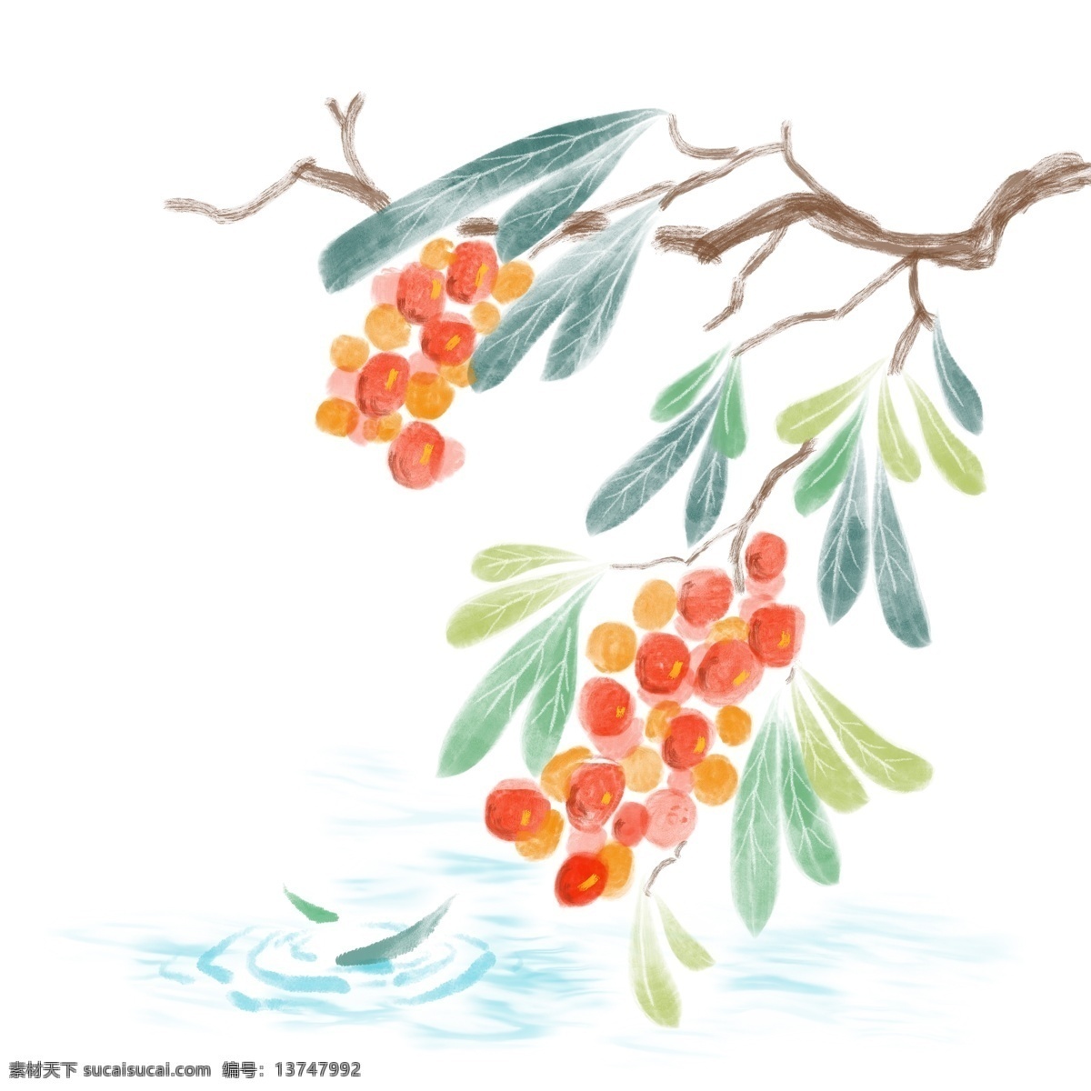 水墨 果实 树枝 插画 红色的果实 水墨果实 食物 卡通插画 成熟的果实 果子 绿叶装饰 枝条 水墨画