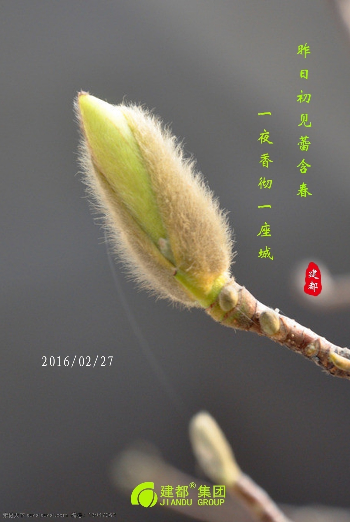 昨日 初见 春天 一夜 香 一座 城 建都 集团 灰色