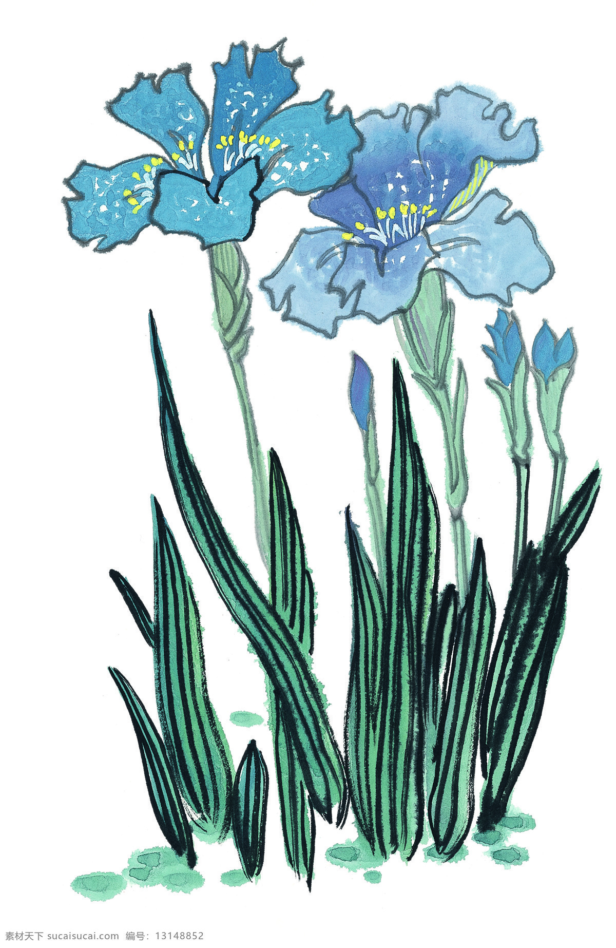 水彩花 水彩畫花 藝術花 花朵 背景 中國風 水彩 藝術 梅花 花蕾 含苞待放 藍色 花草 绘画书法 文化艺术