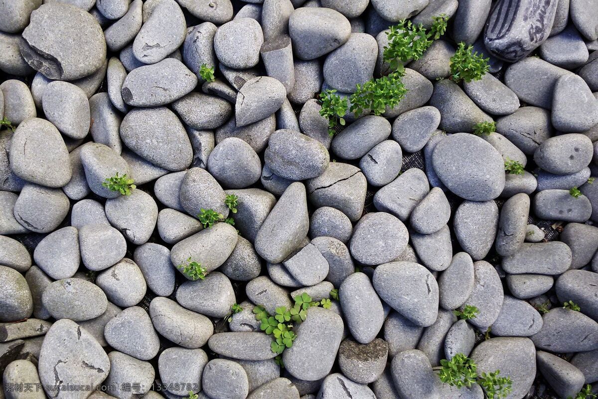 鹅卵石 石头 小碎石 灰色石 石子 建筑园林