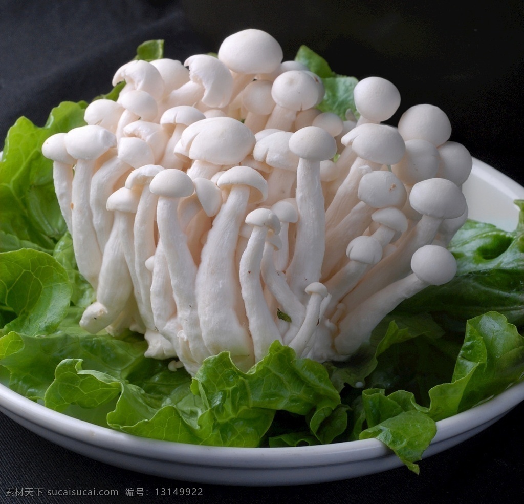 白玉菇 火锅 菌类 菌菇 美食 涮食 菇菌 涮菜 涮品 菜品 餐饮 中餐 食用菌 火锅食材 火锅涮品 火锅涮菜 火锅菜 餐饮美食 传统美食
