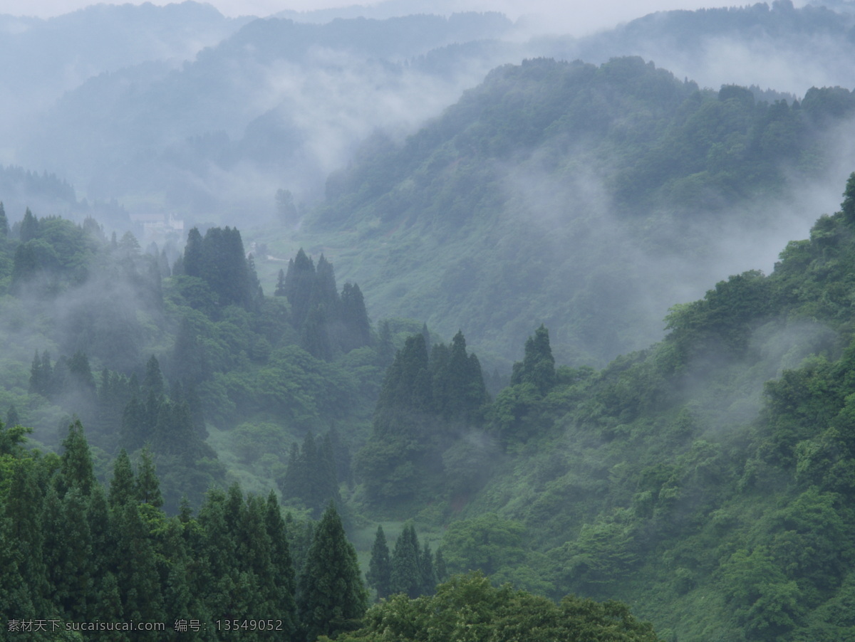 雾气腾腾 六盘山 树 森林 大雾 山林 精品 摄影作品 高清晰 松树 大山 绿色 远山 山水风景 风景图片