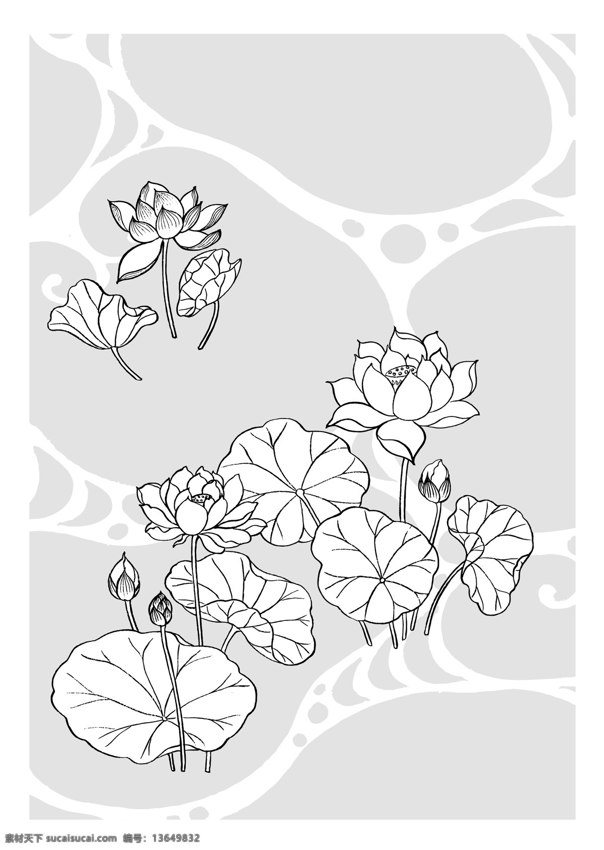 矢量花 花 花儿 矢量花朵 花素材 花朵素材 花朵 多彩花 花瓣 花瓣背景 花瓣底图 叶子 多彩花朵 漂亮花朵 美丽花朵 大花 图案花 鲜艳的花 素描花 鲜花 矢量花2 生物世界 花草 白色