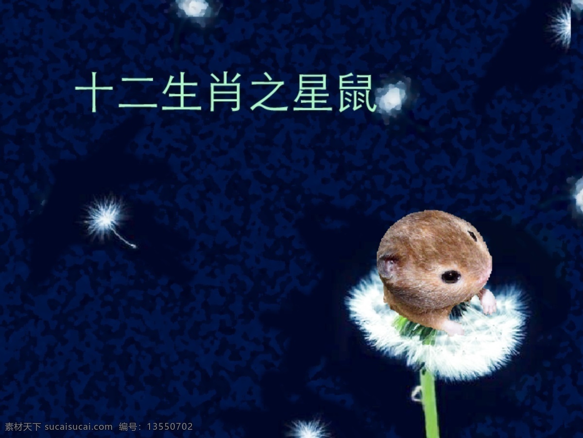 年历 封面 背景 12生肖图片 星云 节日素材 其他节日
