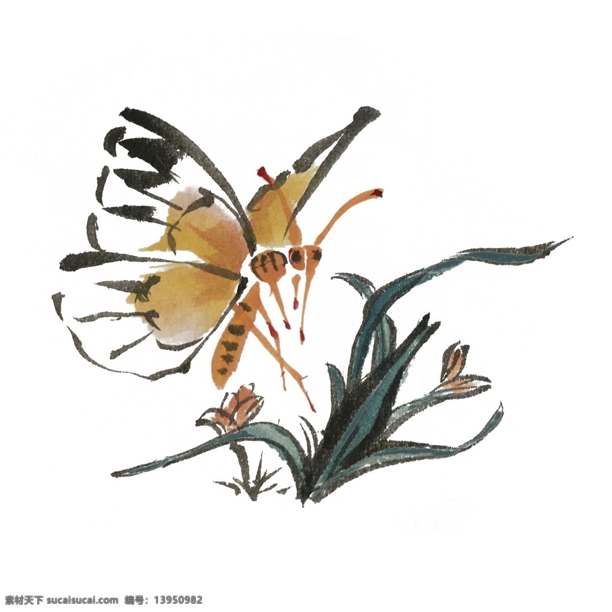 中国 风 墨迹 花草 蜻蜓 手绘 插画 中国风 动物 古风 水墨风 夏季 彩色 昆虫 春天 生动 国风 水墨