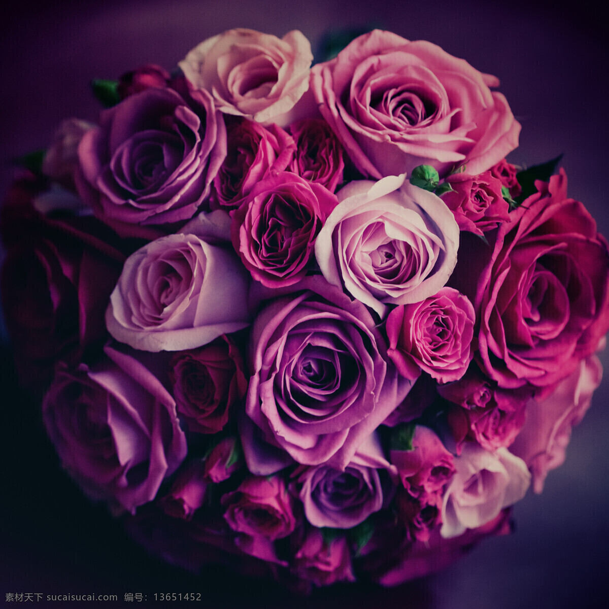 美丽 玫瑰花 花束 美丽鲜花 花卉 美丽花朵 婚礼花朵 节日庆典 生活百科