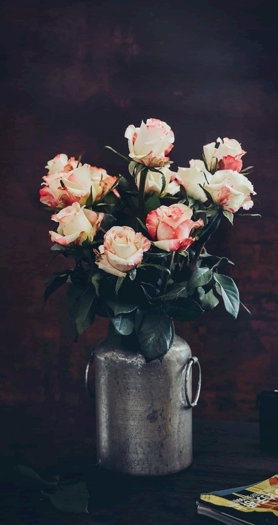 玫瑰图片 植物 花 鲜花 绿叶 叶子 花瓶 插花 粉嫩 清新 粉色 绿色 生机 装饰 玫瑰 月季
