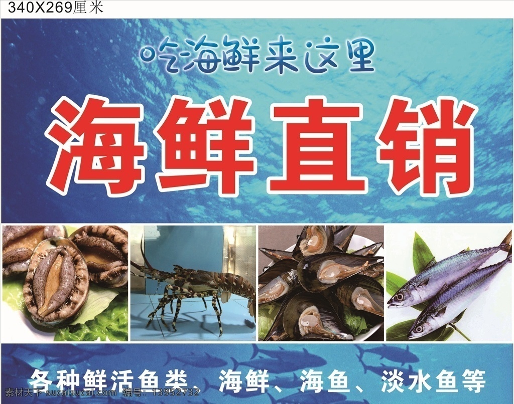 海鲜直销海报 海鲜 直销 海报 美食 鲍鱼 龙虾 海鱼 室内广告设计