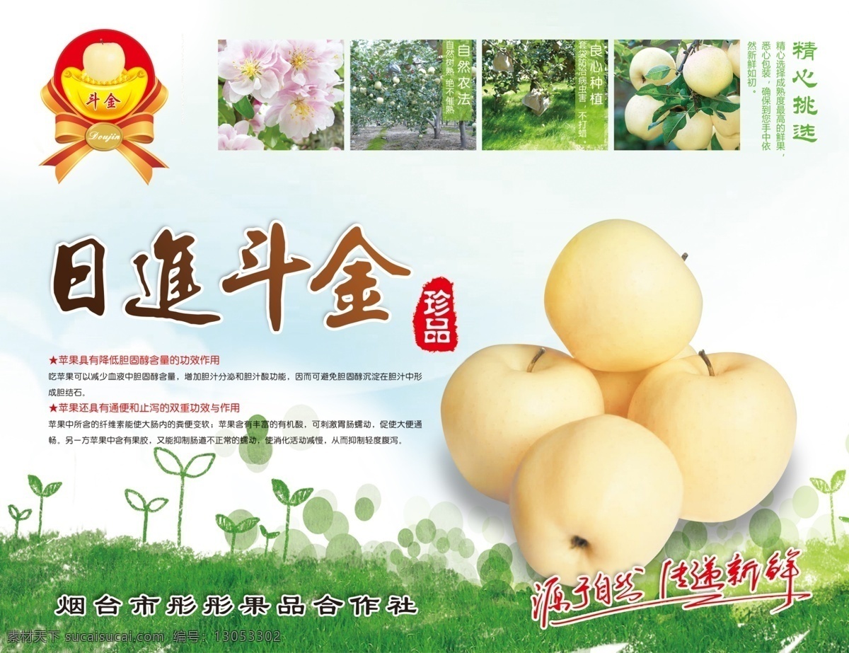 黄元帅苹果 黄元帅 金帅 苹果 珍品 不干胶贴 包装设计