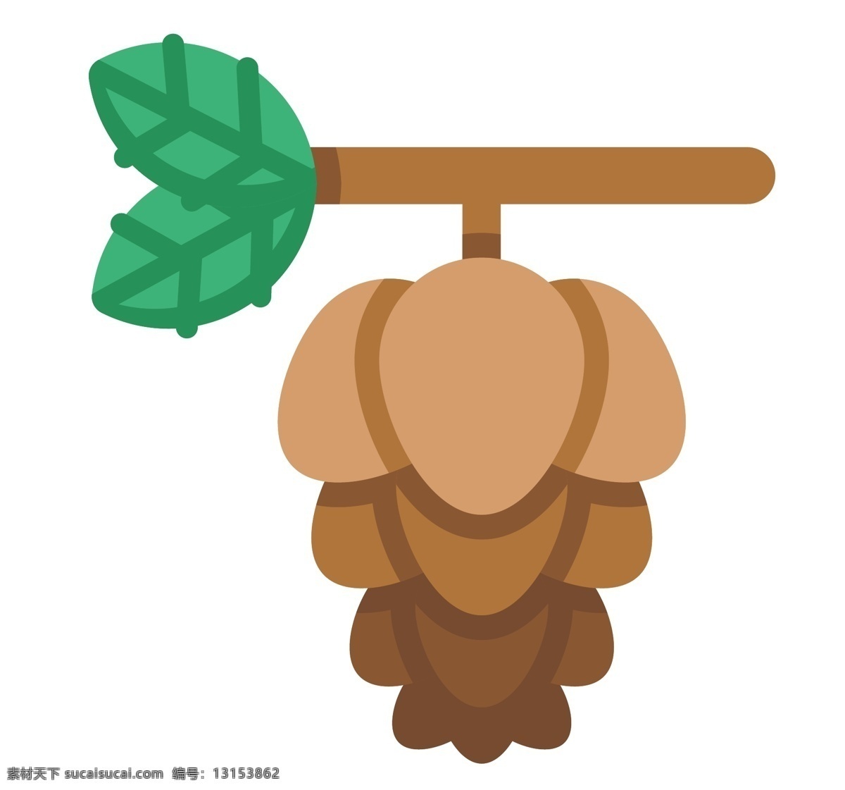 立体 悬挂 松果 插图 悬挂的松果 立体松果 棕色松果 坚果松果 秋冬季松果 一颗松果 卡通松果 松果果实