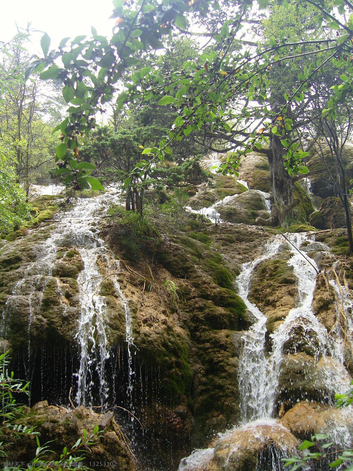 九寨 风光 九寨沟 瀑布 瀑布风景 瀑布风景图片 树木 烟雾缭绕 九寨风光 风景 生活 旅游餐饮