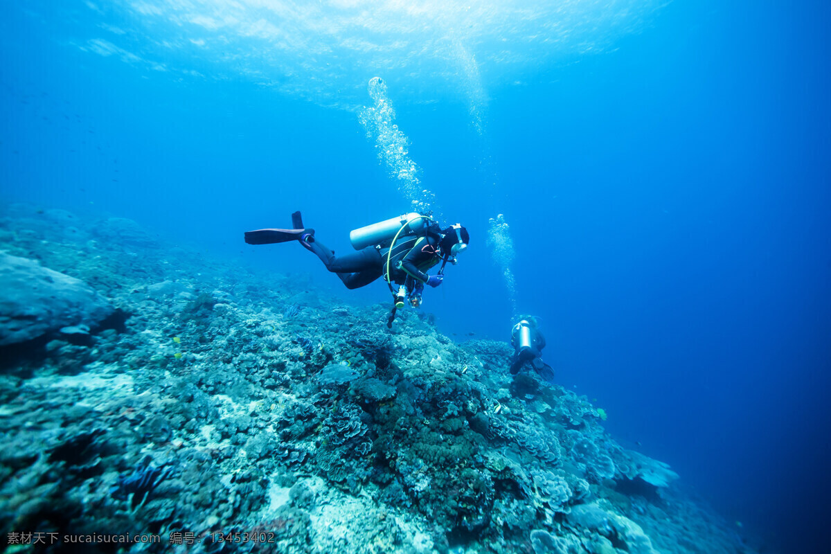 潜水运动 潜水员潜水 潜水员 潜水镜 海底世界 海洋 海洋世界 大海 海底 深海 潜水 商务 人物 科技 运动 文化艺术 体育运动