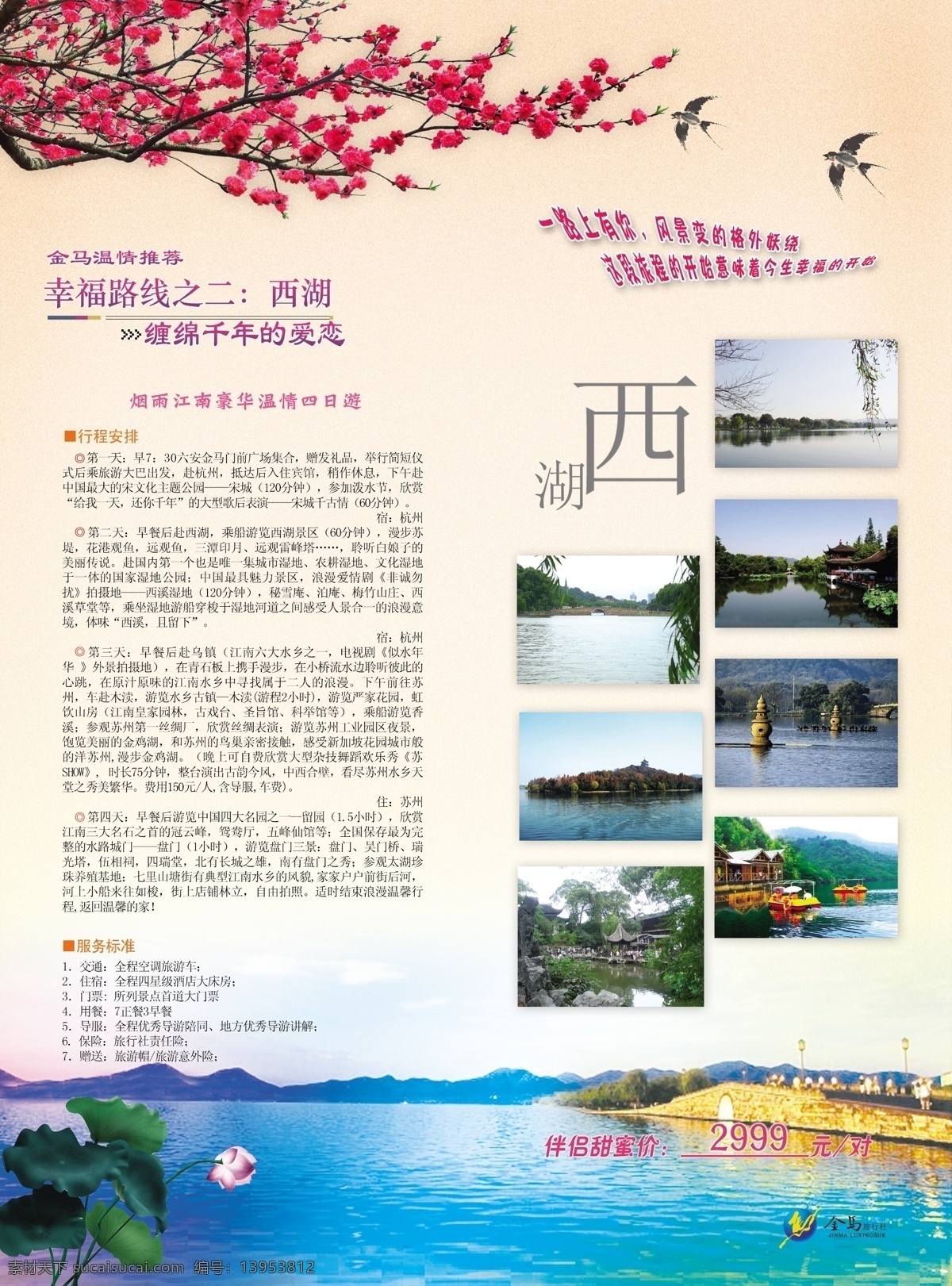 西湖 梅花 燕子 湖 旅游