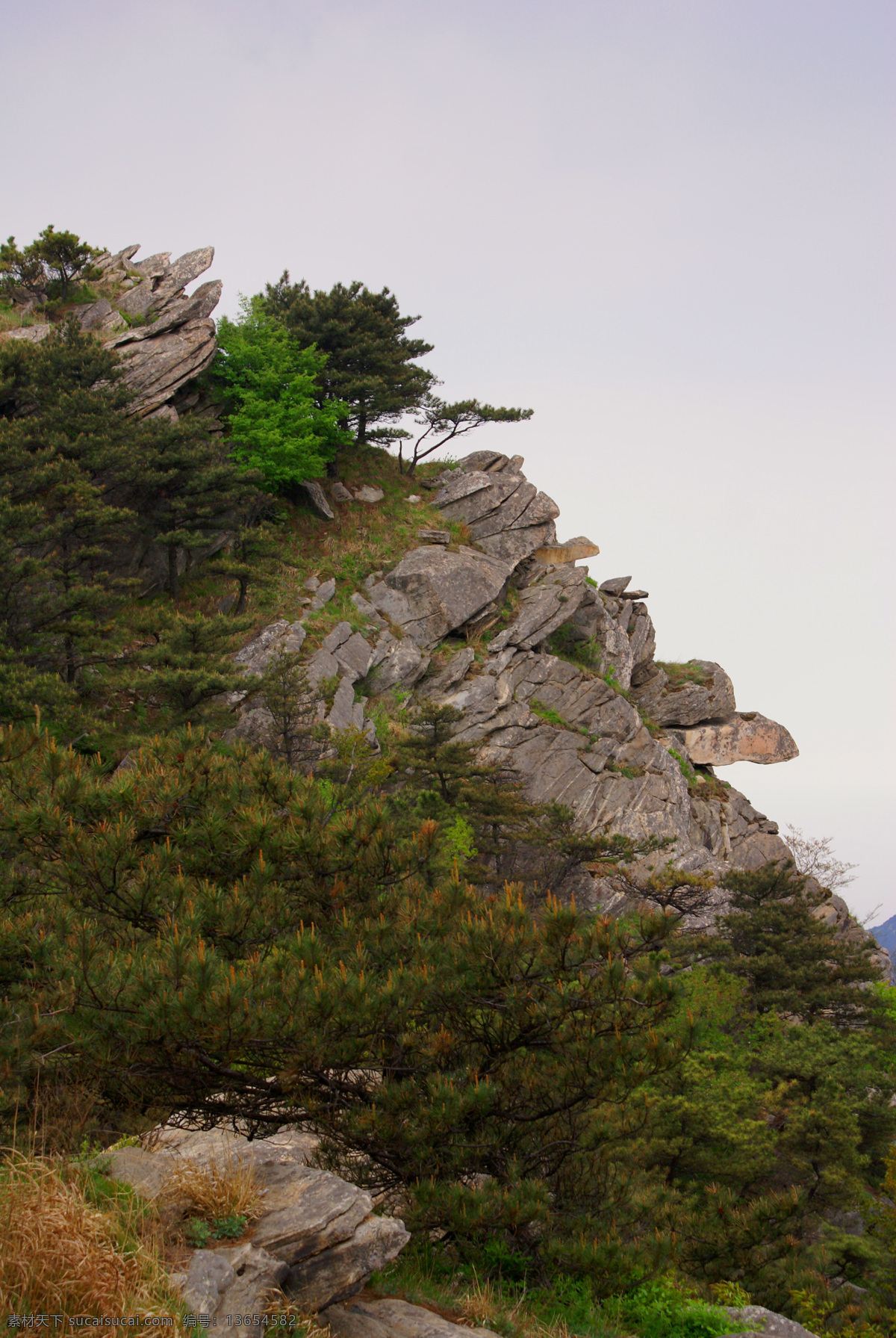 群龟探海 沂蒙山 临沂 蒙山 旅游 旅游摄影 国内旅游 黑色