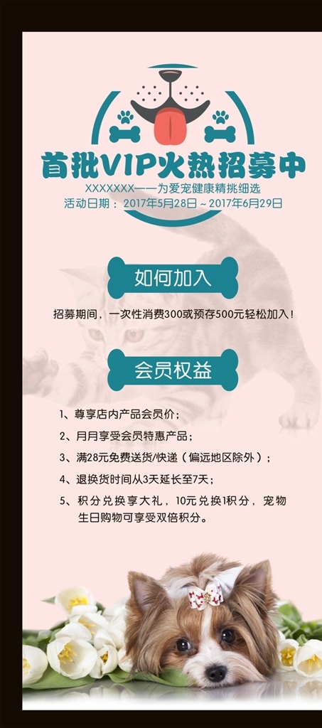 宠物店展架 猫 遛狗 宠物 宠物店 宠物医院 宠物海报 宠物宣传单 宠物店海报 宠物医院海报 宠物店广告 宠物店宣传单 宠物生活馆 宠物店开业 宠物医院开业 宠物广告 宠物店活动 宠物店会员日 宠物店传单 宠物店dm 开业 开业海报 狗狗 犬 宠物展架 宠物店橱窗 海报 宠物领养 宠物美容 美容