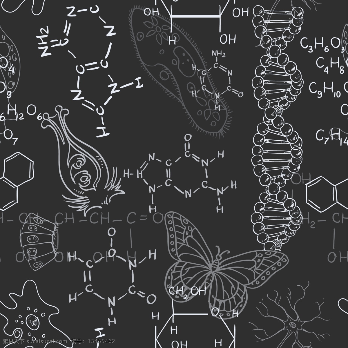 生物学 黑板 粉笔 板书 图画 矢量 矢量素材 设计素材 背景素材