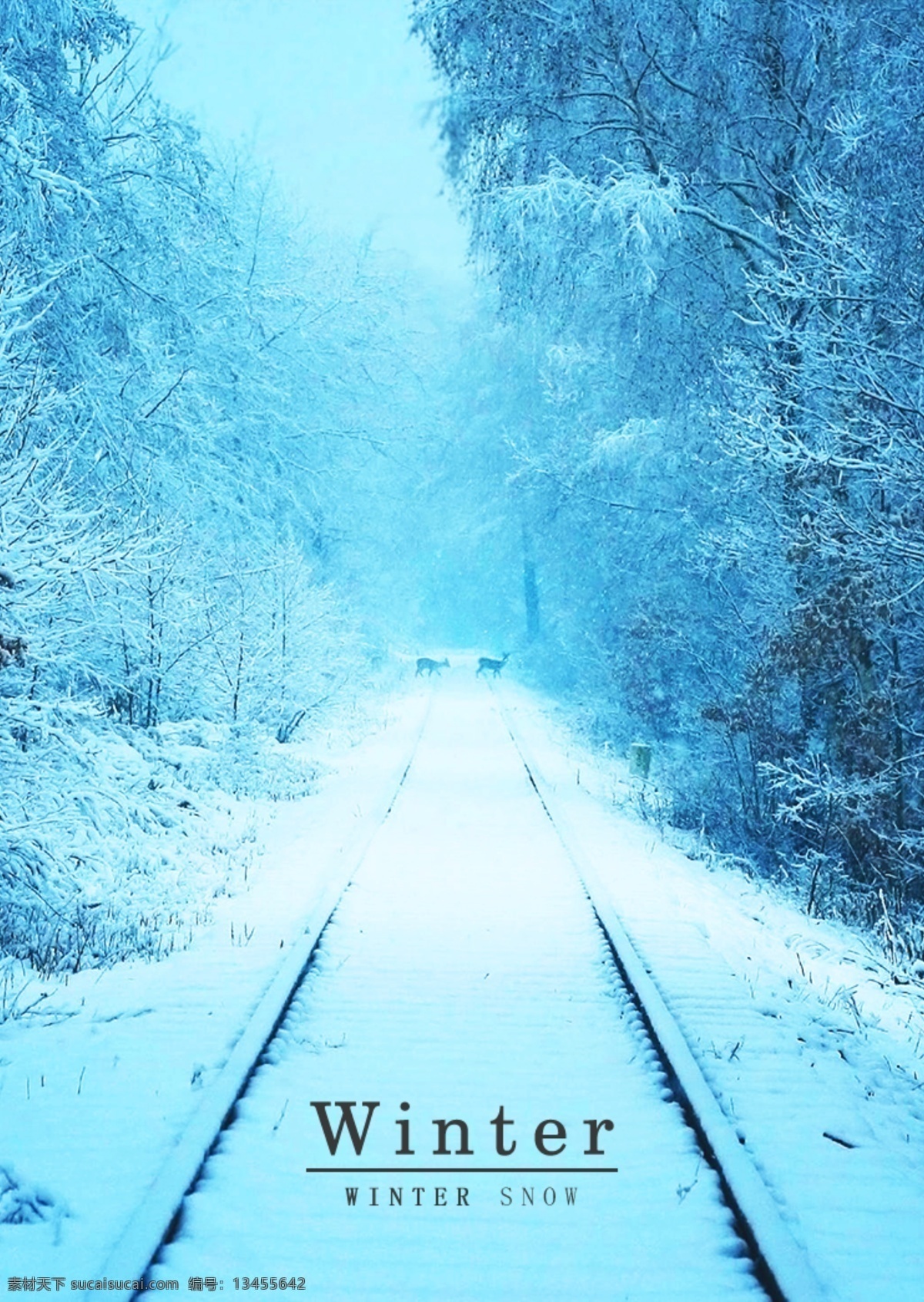 蓝色 冬季 轨道 雪 肝 药 海报 肝药 n 冬天 树 眼睛 雪景 密林 鹿鹿 漂亮的 风景
