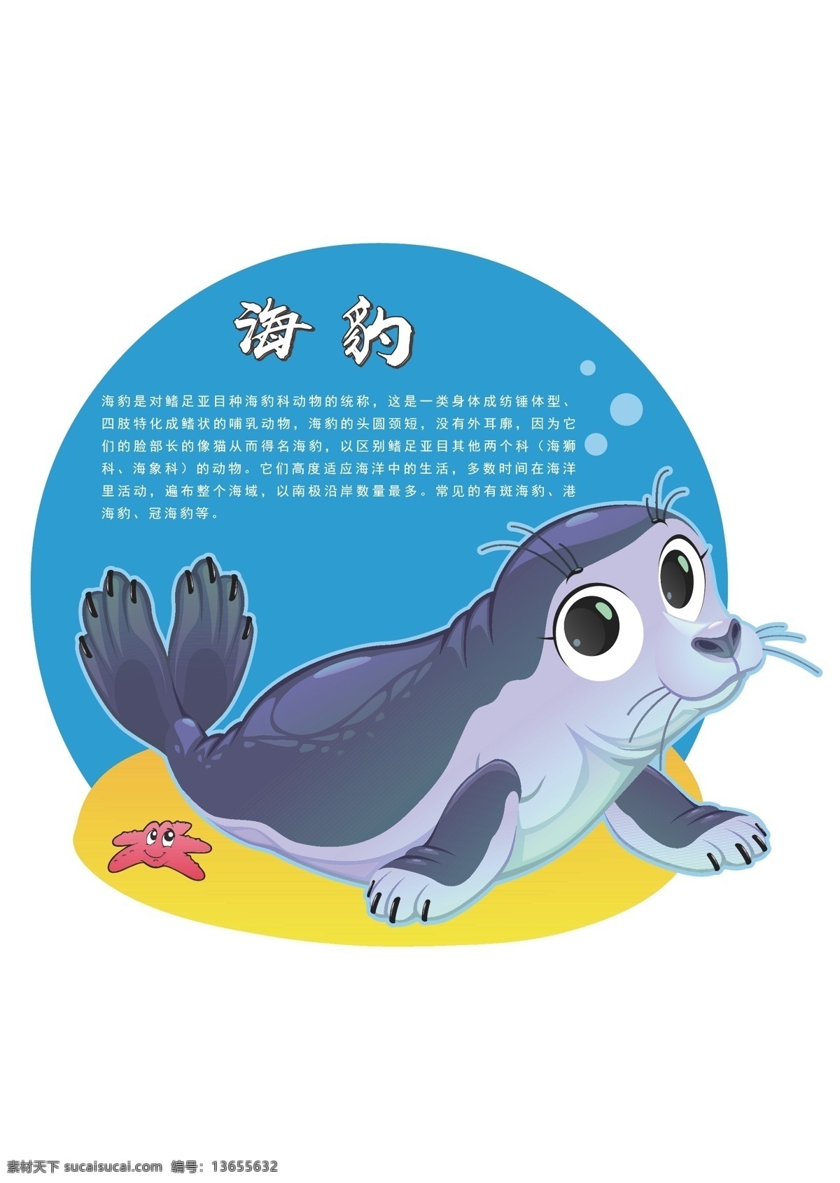 海底生物百科 造型 海底世界 展板 科普知识 卡通设计