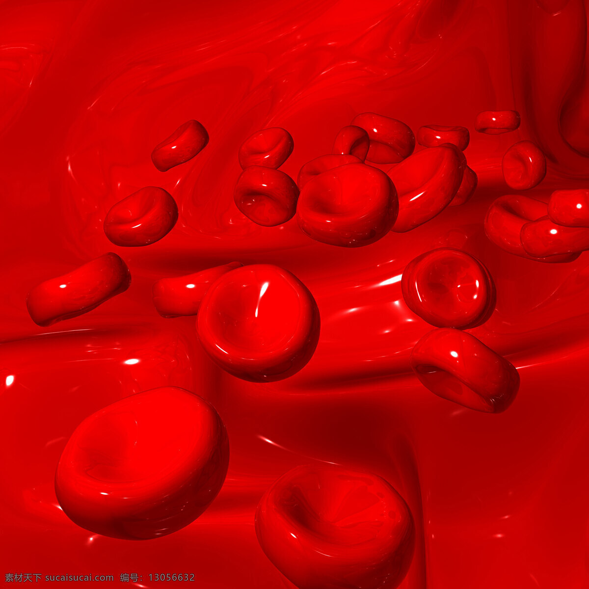 血细胞 红色