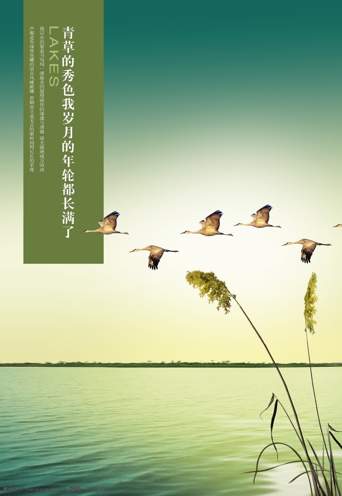 飞鸟免费下载 文件 源文件 psd源文件 草 飞鸟 风景 鸽子 湖水