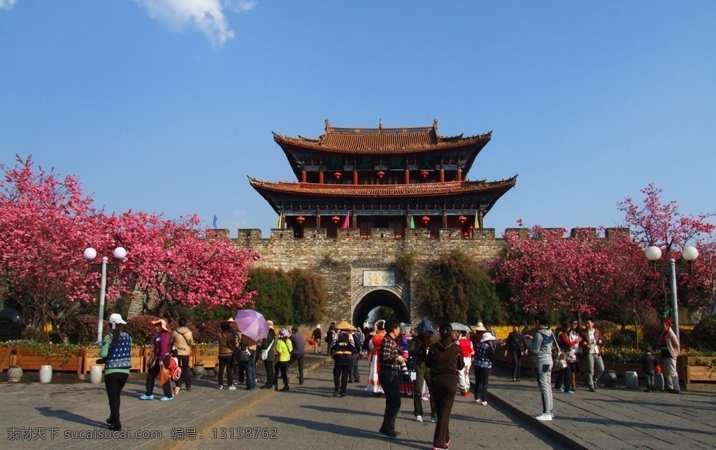 大理古城南门 中国 云南 大理 古城 南门 樱花 旅游摄影 国内旅游
