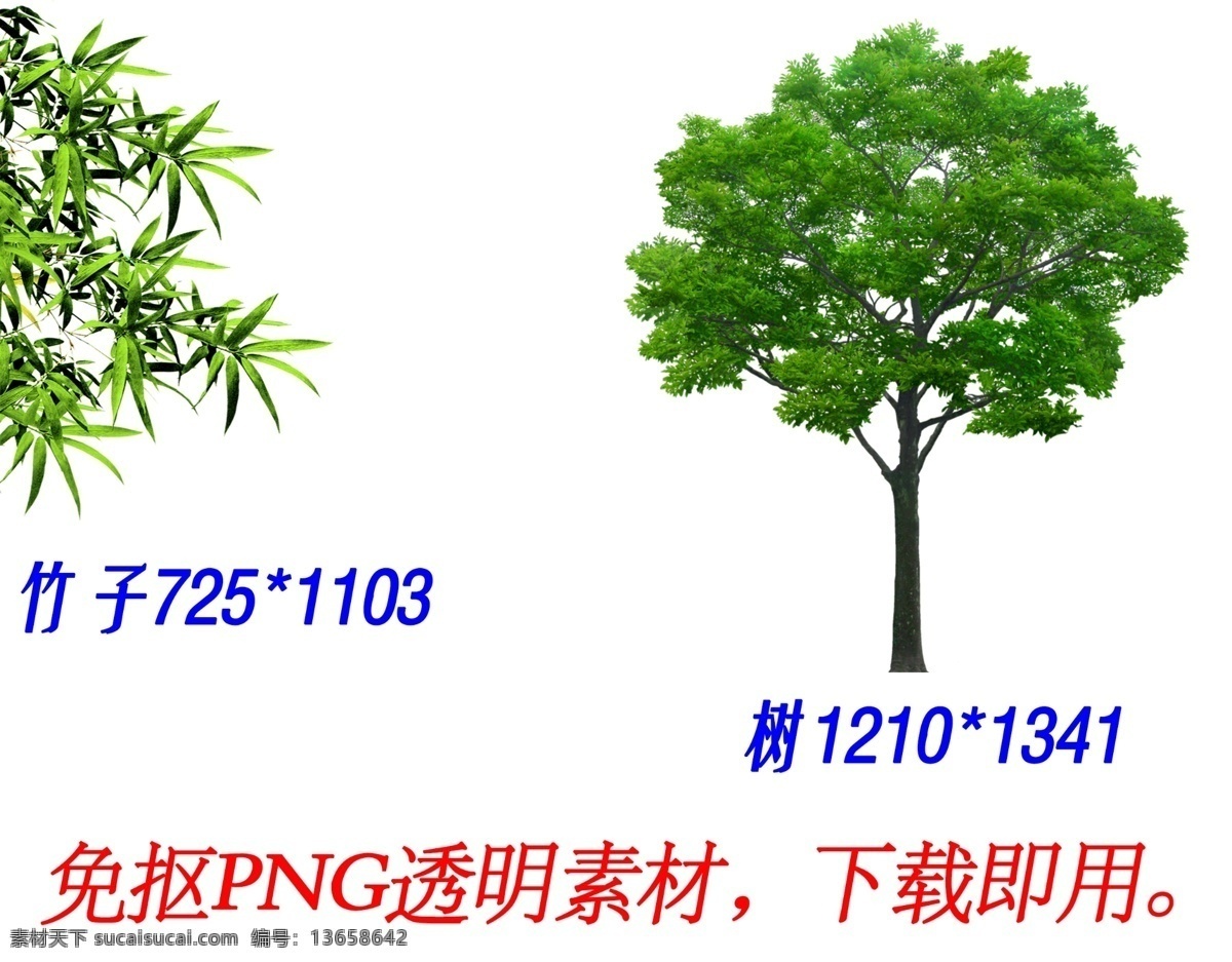 竹子树素材 竹子 树 png素材 透明图片 透明 植物 花草树木 背景 大浪淘沙 自然景观 建筑园林